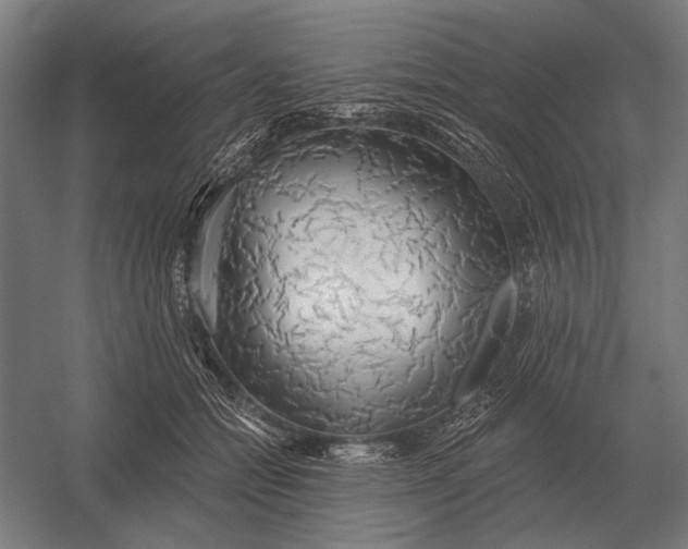 X0000054360558200508191822