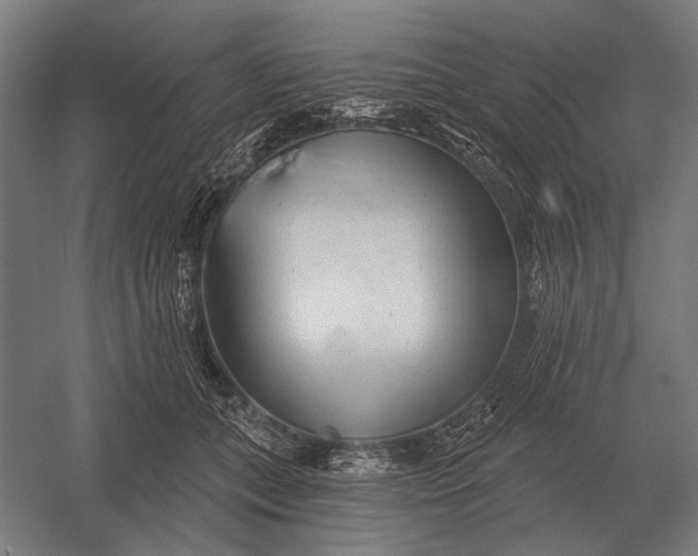 X0000054360559200508191822