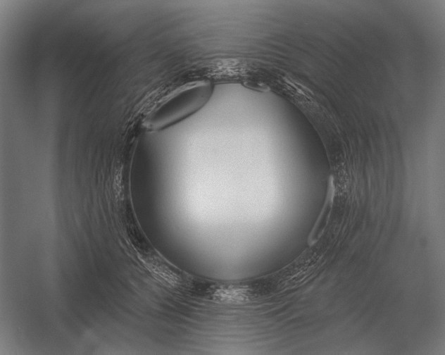 X0000054360560200508191822