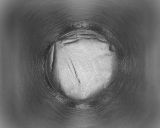 X0000054360561200508191822