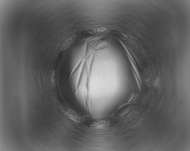 X0000054360563200508191822