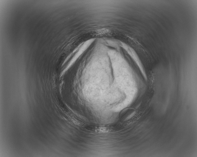 X0000054360565200508191822