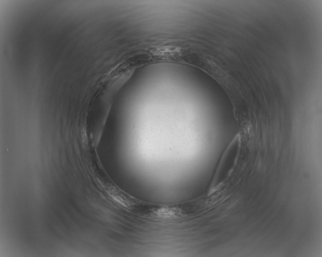 X0000054360566200508191822