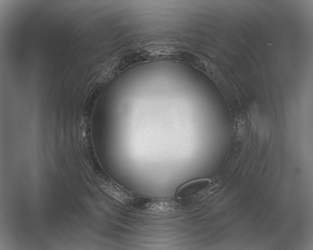 X0000054360567200508191822