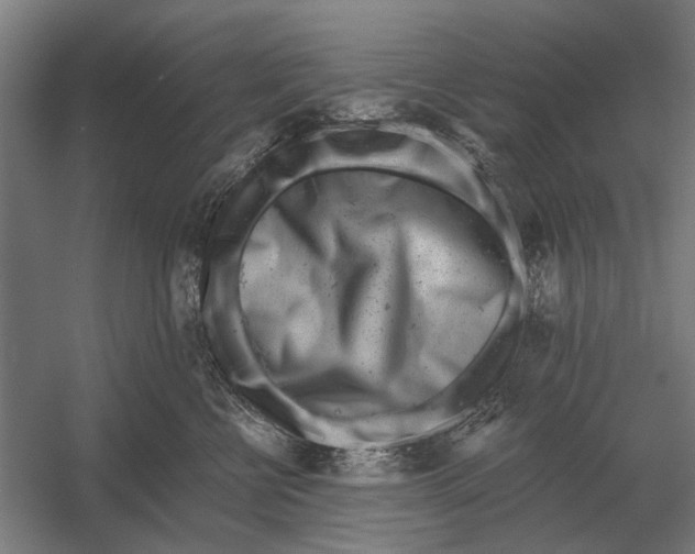 X0000054360570200508191823
