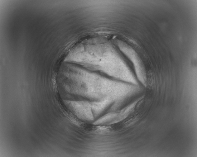 X0000054360573200508191823