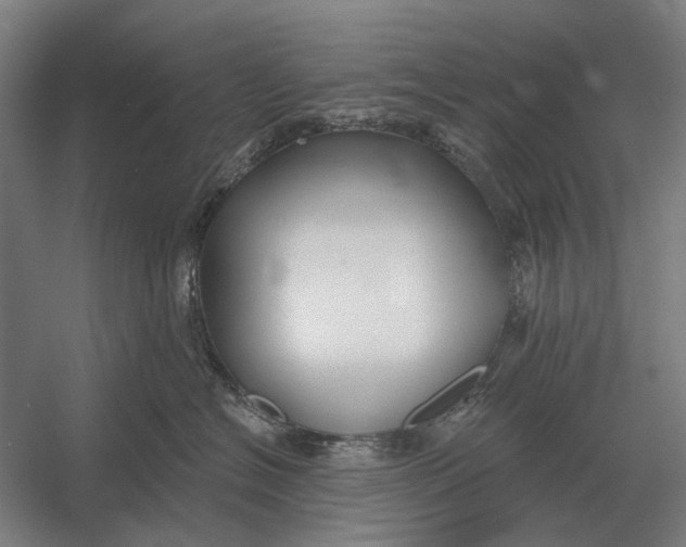 X0000054360574200508191823