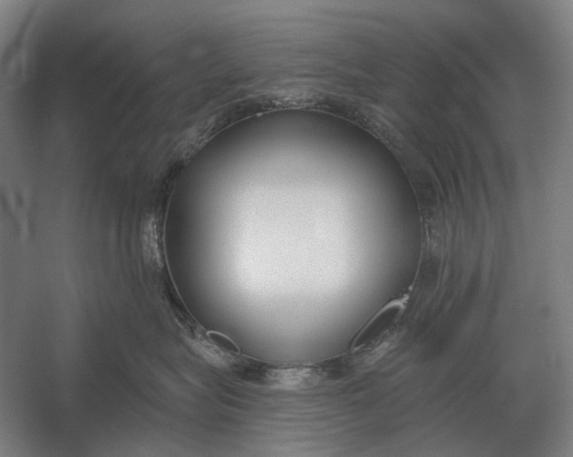 X0000054360575200508191823