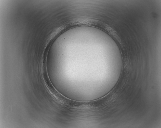 X0000054360578200508191822