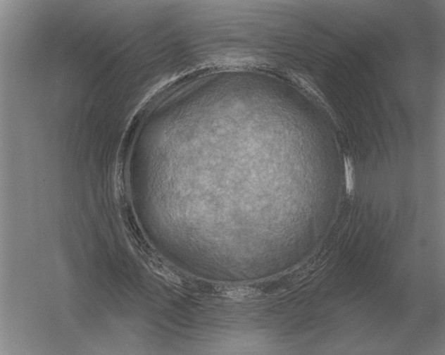 X0000054360579200508191822
