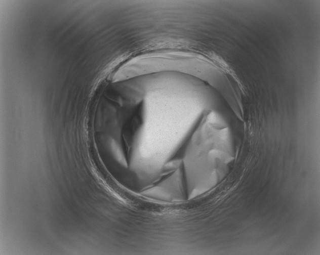 X0000054360581200508191822