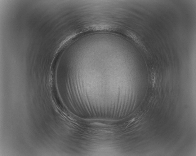 X0000054360583200508191822