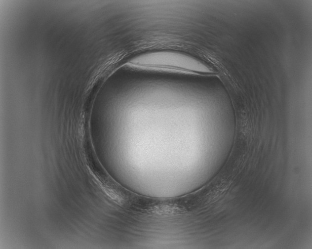 X0000054360586200508191822