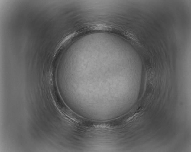 X0000054360587200508191822
