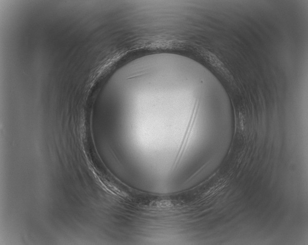 X0000054360588200508191822