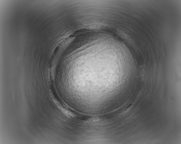 X0000054360589200508191822
