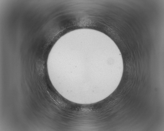 X0000054360592200508191822