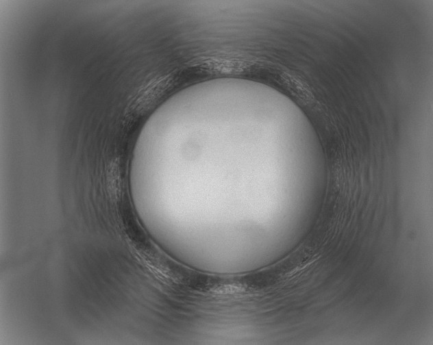 X0000054360594200508191821