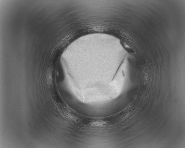 X0000054360595200508191821
