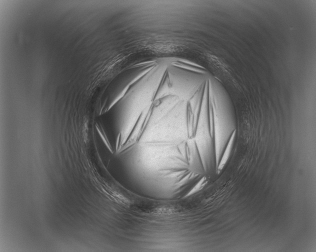 X0000054360596200508191821