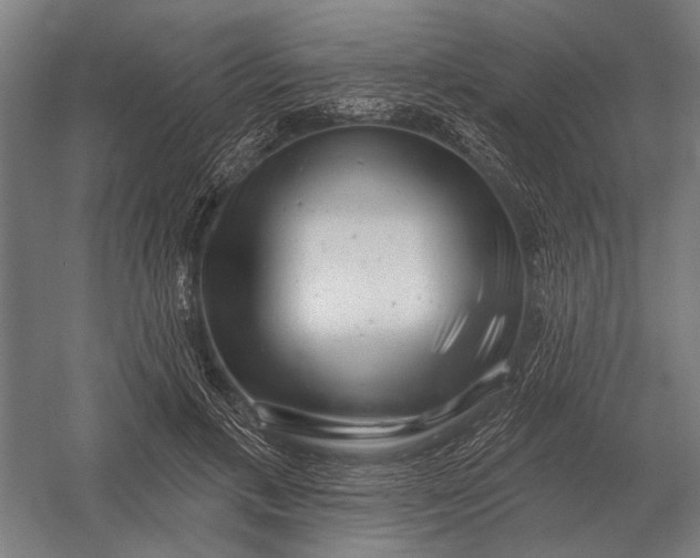 X0000054360597200508191821
