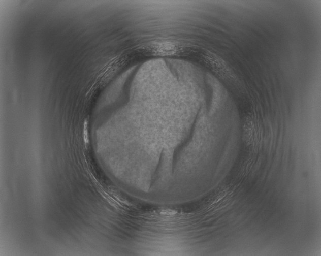 X0000054360598200508191821