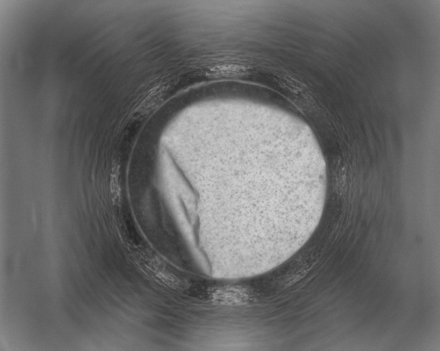 X0000054360599200508191821