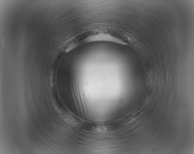 X0000054360600200508191821