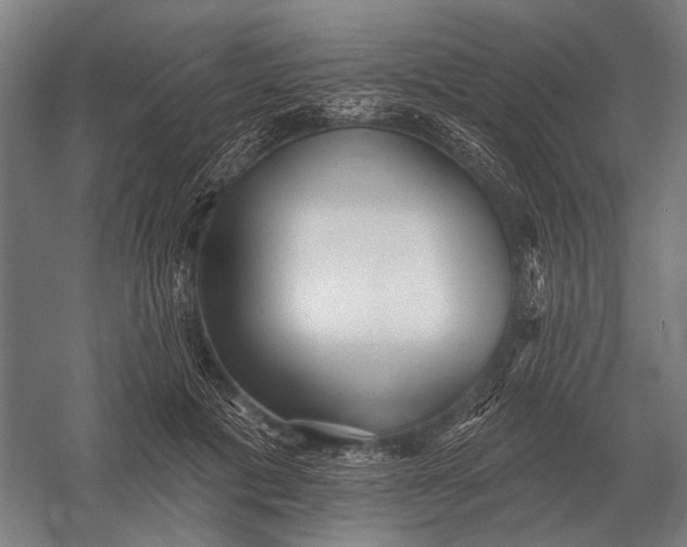 X0000054360601200508191821