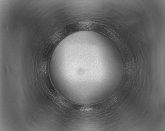 X0000054360602200508191821