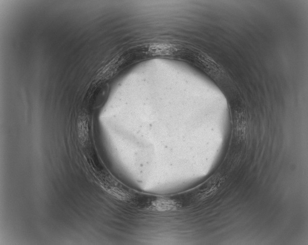 X0000054360603200508191821