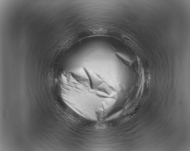X0000054360604200508191821