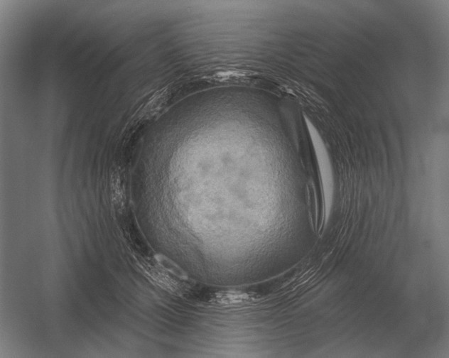 X0000054360607200508191821