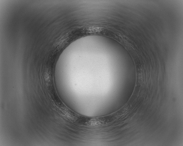 X0000054360608200508191821