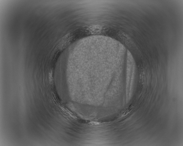 X0000054360610200508191821
