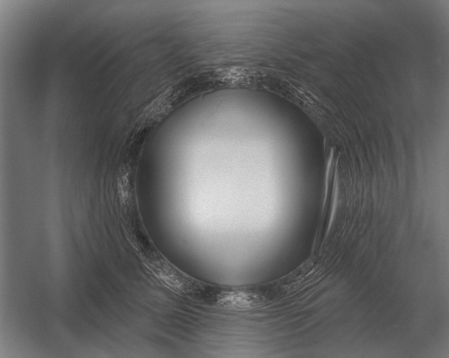 X0000054360611200508191821