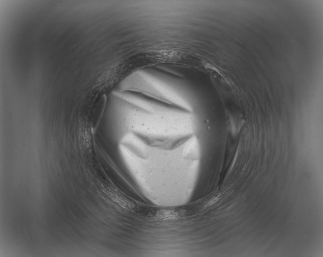 X0000054360613200508191821