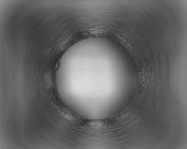 X0000054360615200508191821
