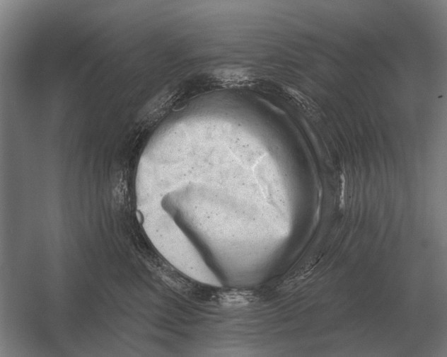X0000054360618200508191821