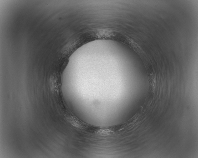 X0000054360619200508191821
