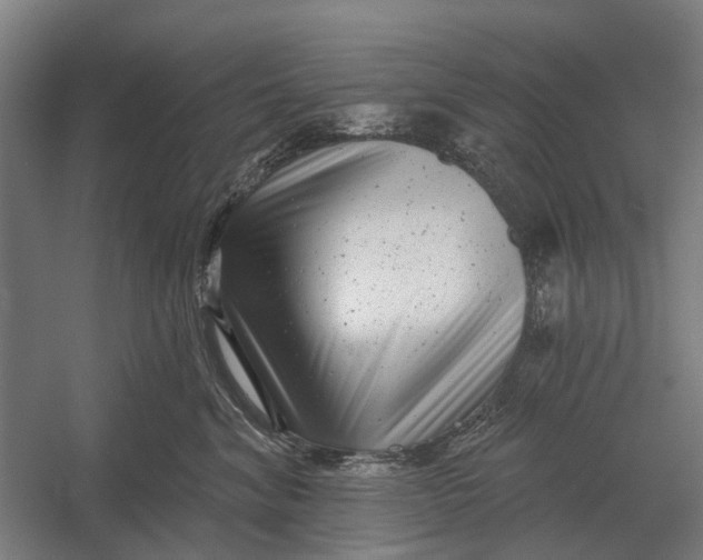 X0000054360620200508191821