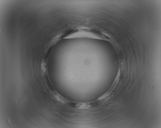 X0000054360621200508191821
