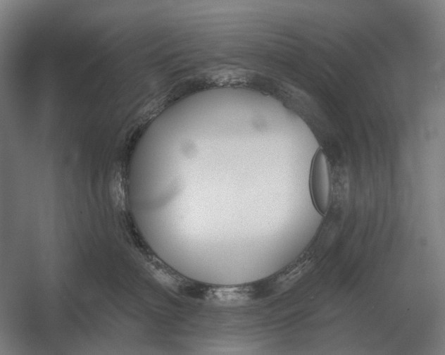 X0000054360622200508191821