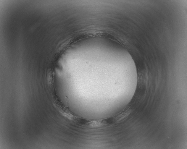 X0000054360623200508191821
