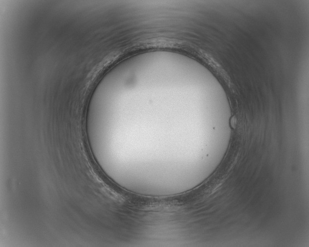 X0000054360625200508191820