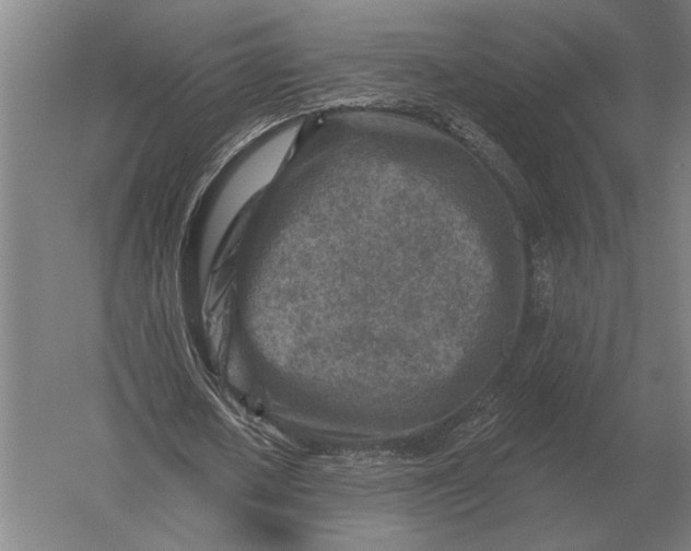 X0000054360626200508191820