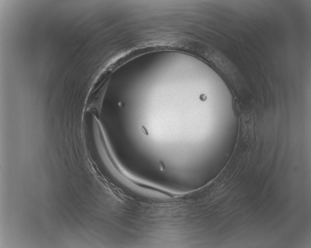 X0000054360628200508191820