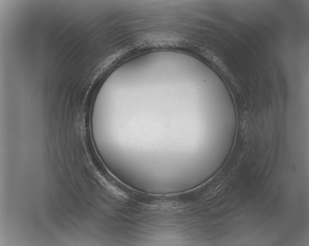 X0000054360629200508191820