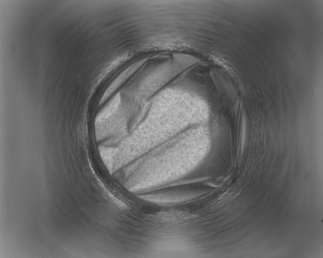 X0000054360630200508191820