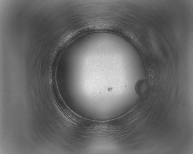 X0000054360631200508191820